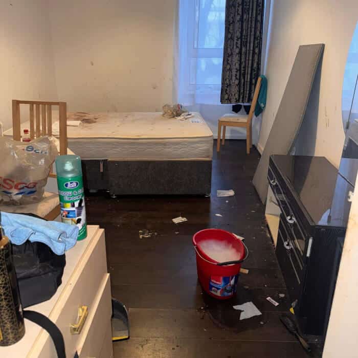 Local Cleaning Company Livingston